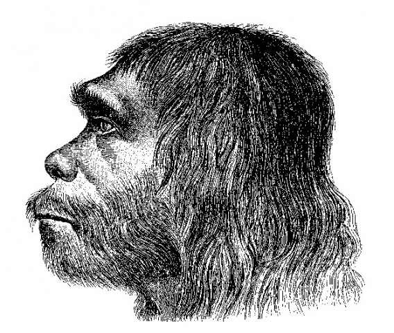 Das Moustérien - Die große Zeit der Neanderthaler Das Moustérien - Die große Zeit der Neanderthaler