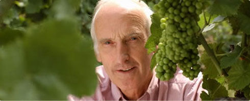 Baron Knyphausen Weine bei BELVINI.DE