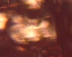 Eine Schaumpore mit integriertem Kristallgitter Eine Schaumpore mit integriertem Kristallgitter
