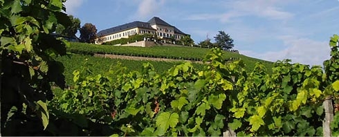 Das erste Riesling Weingut der Welt - Schloss Johannisberg - neu bei BELVINI.DE Das erste Riesling Weingut der Welt - Schloss Johannisberg - neu bei BELVINI.DE