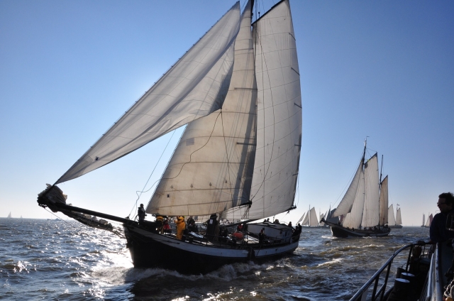 Regattasegeln auf dem Ijsselmeer Regattasegeln auf dem Ijsselmeer