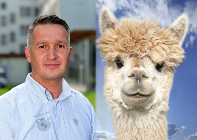 Was macht das Lama in der Neustadt? Was macht das Lama in der Neustadt?