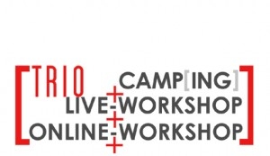 Newsletter-Marketing wird im Fundraising immer wichtiger