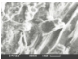 Holzfasermatrix mit Kristallgitter Holzfasermatrix mit Kristallgitter