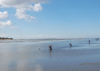 Herbst an der Nordsee: mit Wattenmeer-Angeboten für drinnen und draußen © Kamp Hotels, Cuxhaven Herbst an der Nordsee: mit Wattenmeer-Angeboten für drinnen und draußen © Kamp Hotels, Cuxhaven