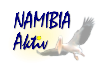 Namibia Aktiv organisiert Aktivitäten in Namibia und unterstützt Familien in den Armenvierteln Namibia Aktiv organisiert Aktivitäten in Namibia und unterstützt Familien in den Armenvierteln
