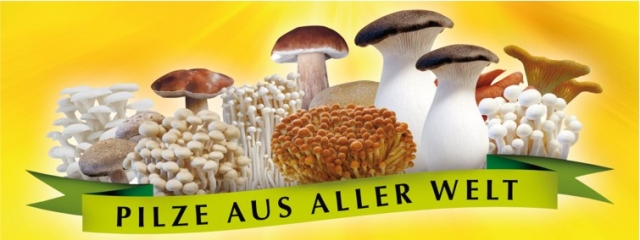 Pilzgroßhändler und Pilzzüchter kämpfen gegen Pilzgroßhändler und Pilzzüchter kämpfen gegen