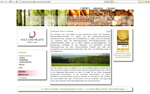www.holzundpellets.de 