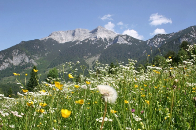Alpen und Wüste: Natur als Seminarraum Alpen und Wüste: Natur als Seminarraum
