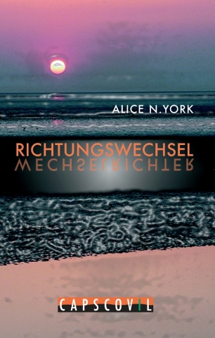 Richtungswechsel: Solarvisionen kontra Managementzwang Richtungswechsel: Solarvisionen kontra Managementzwang