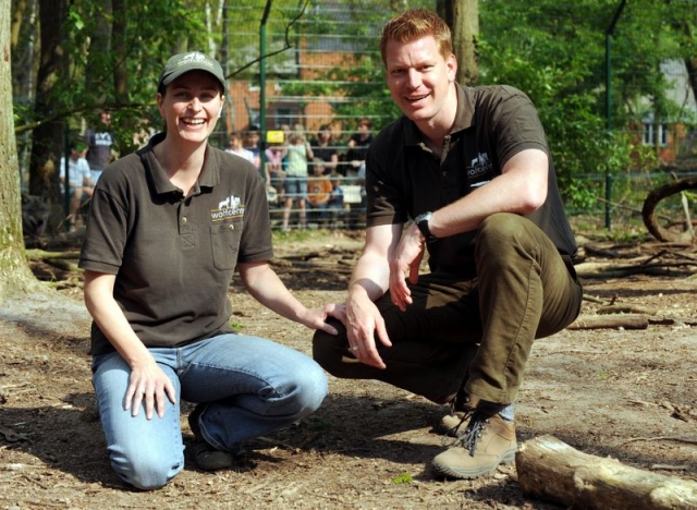 Wolfstag Spezial im Wolfcenter Dörverden Wolfstag Spezial im Wolfcenter Dörverden