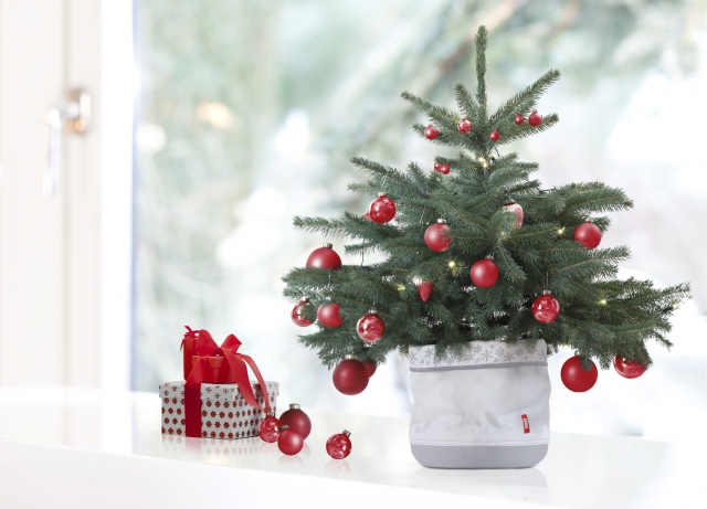 Oh Tannenbaum ... Oh Tannenbaum ...