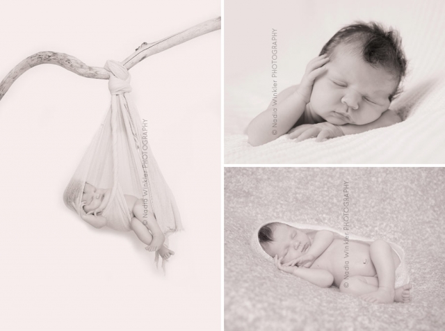 Professionelle Neugeborenenfotografie, Neugeborenenfotos sowie Babyfotos von Babyfotograf Nadia Wink Professionelle Neugeborenenfotografie, Neugeborenenfotos sowie Babyfotos von Babyfotograf Nadia Wink