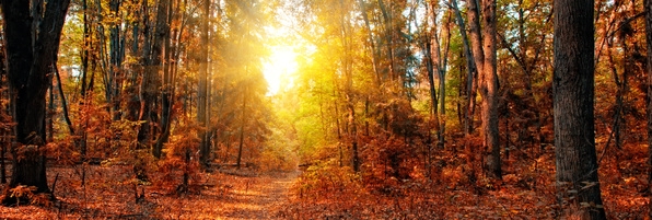 3 Tage Herbstwandern in Schömberg im Naturpark Nordschwarzwald 3 Tage Herbstwandern in Schömberg im Naturpark Nordschwarzwald