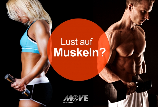 Muskelaufbau für die Hälfte: Eröffnungsangebot von MOVE-MUSCLE