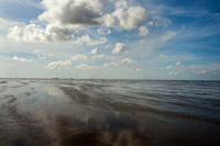 Auch im Herbst und Winter lädt das Wattenmeer bei Ebbe zu Wattwanderungen ein Auch im Herbst und Winter lädt das Wattenmeer bei Ebbe zu Wattwanderungen ein