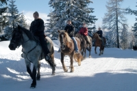 Reitergruppe (Tourismusregion Katschberg-Rennweg)
