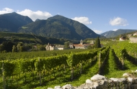 Kloster Neustift mit Weingut (Eisacktal)