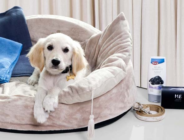 ME Barcelona - Ein Hotelparadies für Hunde mit Anspruch