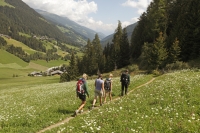 Wanderer im Grünen (Ultental)