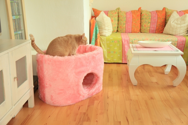 Katzenhöhle Catbed® Lüni Style Plus Katzenhöhle Catbed® Lüni Style Plus