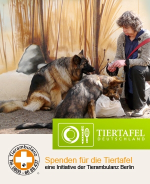 Die Tiertafel verteilt nicht nur Futter, sondern zahlt auch anteilig Tierarztrechnungen.
