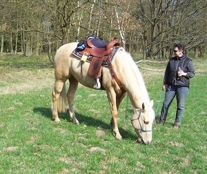 Ausreit- und Urlaubstipp auf www.mit-Pferden-reisen.de: Entspannt Ausreiten in der Elbtal-Göhrde Ausreit- und Urlaubstipp auf www.mit-Pferden-reisen.de: Entspannt Ausreiten in der Elbtal-Göhrde