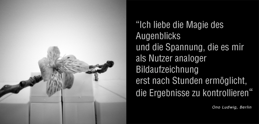 Zitat Ono Ludwig