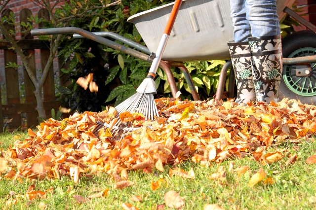 Herbst: Zeit, daran zu denken den Garten und die Terrasse winterfest zu machen Herbst: Zeit, daran zu denken den Garten und die Terrasse winterfest zu machen