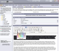 Bearbeitung von Inhalten im CMS Contentpapst