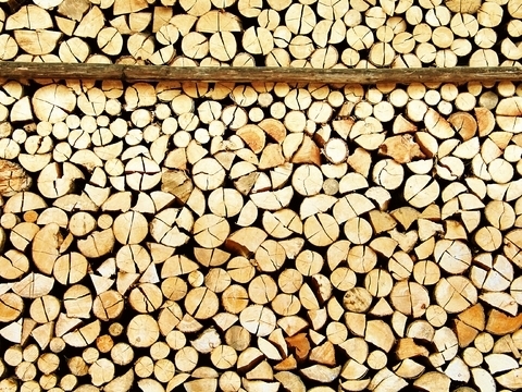 Factoring als Wachstumsfinanzierung in der Holzindustrie