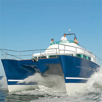 Lagoon Powercat 43