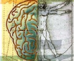 PNI – eine Hoffnung in der Stress-Immunologie? PNI – eine Hoffnung in der Stress-Immunologie?