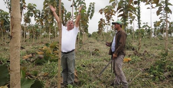 Agrar-Ing. Knut Radicke Life Forestry Ecuador S.A. auf?Santa Maria Agrar-Ing. Knut Radicke Life Forestry Ecuador S.A. auf?Santa Maria