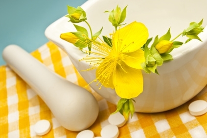 Heilpflanzen wie Johanniskraut bilden die Basis für Naturkosmetik und Naturheilmittel Heilpflanzen wie Johanniskraut bilden die Basis für Naturkosmetik und Naturheilmittel