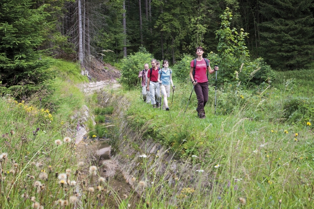 Erlebnis Erzgebirge: Mit 17 Einzeletappen zählt der Kammweg mittlerweile zu Deutschlands besten Wand Erlebnis Erzgebirge: Mit 17 Einzeletappen zählt der Kammweg mittlerweile zu Deutschlands besten Wand