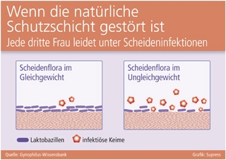 Grafik: Supress (No. 4594) Grafik: Supress (No. 4594)