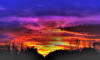 FineAr Photographie Ralf Voigt FineAr Photographie Ralf Voigt