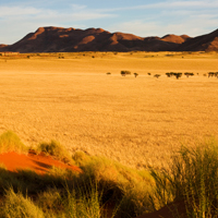 Namibia Reisen mit Takamise Namibia Reisen mit Takamise