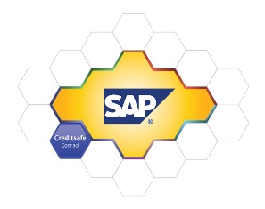 Creditsafe Connect für SAP