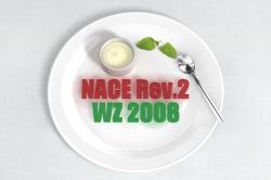Es ist angereichert: Omikron ergänzt Branchencodes WZ 2008 und NACE Rev. 2