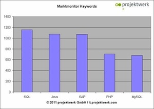 projektwerk IT Marktmonitor projektwerk IT Marktmonitor