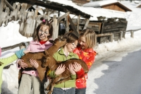 Streichelzoo (Alpenhotel Oberjoch)
