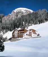 Blick auf das Hotel (Hotel Sassongher)