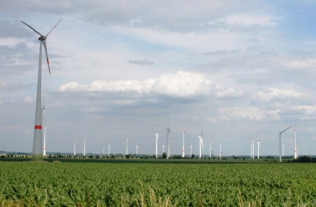 Windfeld Uckermark III Windfeld Uckermark III