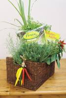 frux Kräuterkorb - eine gesunde Geschenkidee frux Kräuterkorb - eine gesunde Geschenkidee