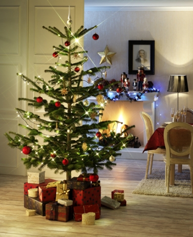 Weihnachtsbeleuchtung sollte nicht nur schön, sondern auch sicher sein. Prüfzeichen wie?GS? oder ?VD Weihnachtsbeleuchtung sollte nicht nur schön, sondern auch sicher sein. Prüfzeichen wie?GS? oder ?VD