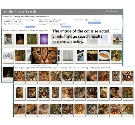 Xerox Similar Image Search