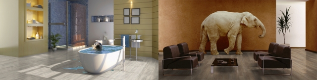 Jede Einzelkollektion unter der Marke?Design flooring by Classen? zeichnet sich durch besondere Attr