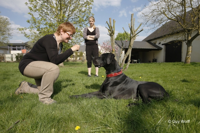 Carine Woltz von der Hundeschule Kynos mit einem vierbeinigen Schüler Carine Woltz von der Hundeschule Kynos mit einem vierbeinigen Schüler